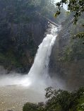 Dunhinda Wasserfall